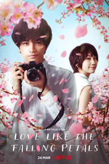 Aşkımın Sonbaharı – My Dearest, Like a Cherry Blossom izle