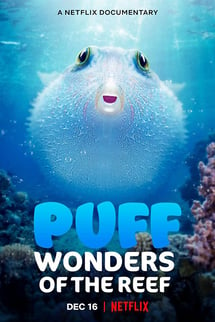 Baloncuk: Resifin Mucizeleri – Puff: Wonders of the Reef izle