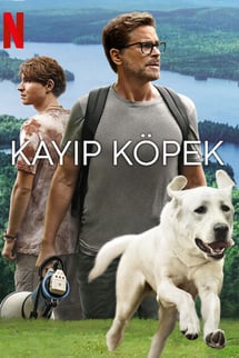 Kayıp Köpek – Dog Gone izle