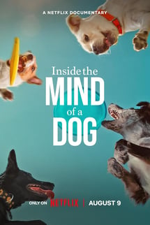 Köpeklerin Aklından Neler Geçiyor? – Inside the Mind of a Dog izle