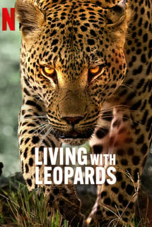 Leoparlarla Yaşam – Living with Leopards izle